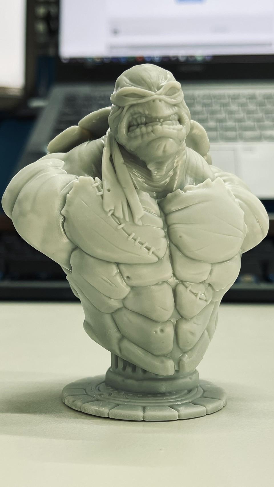 忍者神龟 胸像3D打印模型