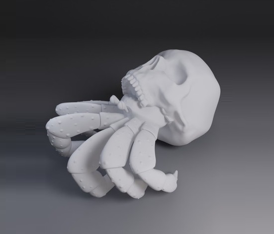 骷髅寄居蟹3D打印模型