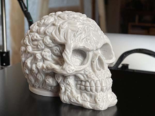 灵魂骷髅3D打印模型