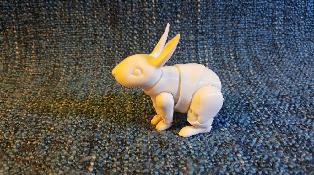 灵活的兔子3D打印模型