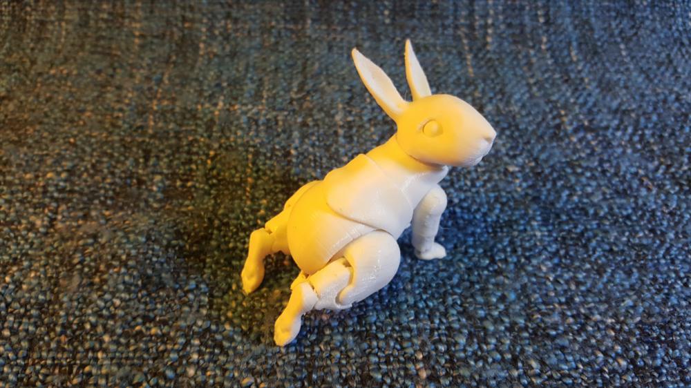 灵活的兔子3D打印模型