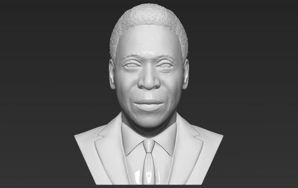 贝利 胸雕3D打印模型