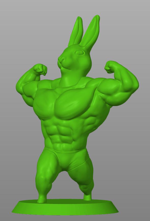 兔年 肌肉兔3D打印模型