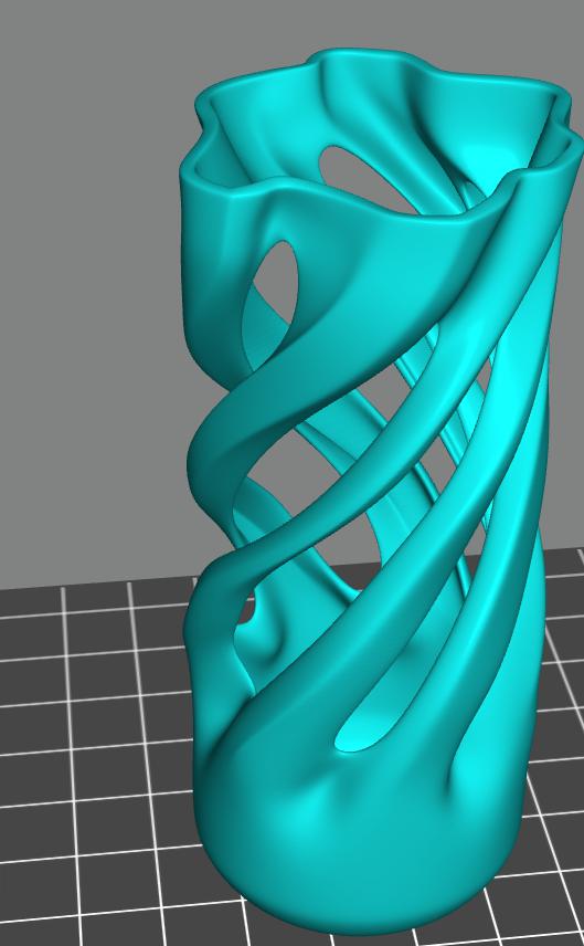 异性花瓶3D打印模型
