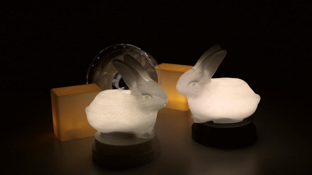 兔子灯3D打印模型