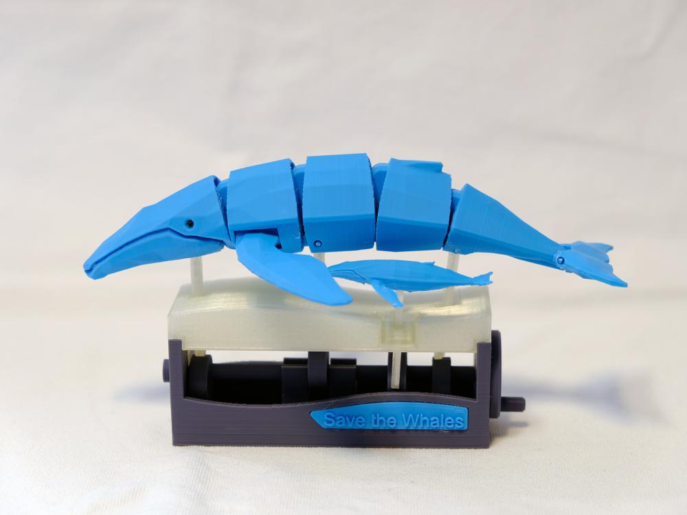 游泳鲸鱼3D打印模型
