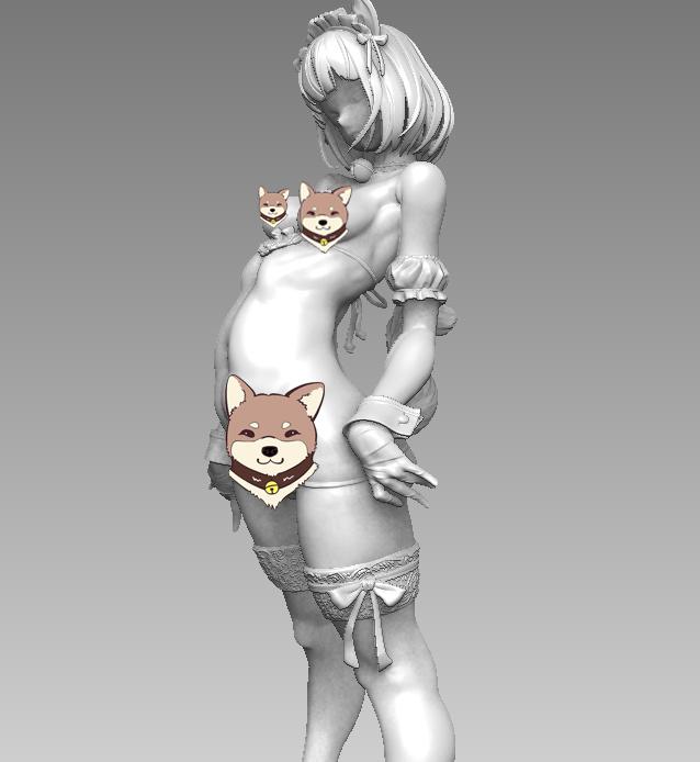 産婦人科M Stepgirl-CAT3D打印模型