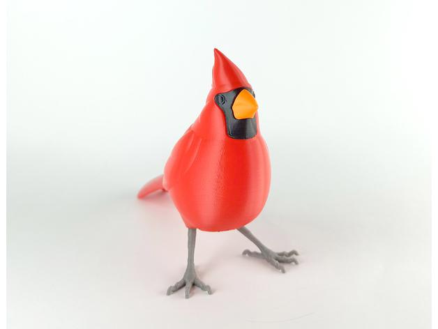 红衣凤头鸟3D打印模型