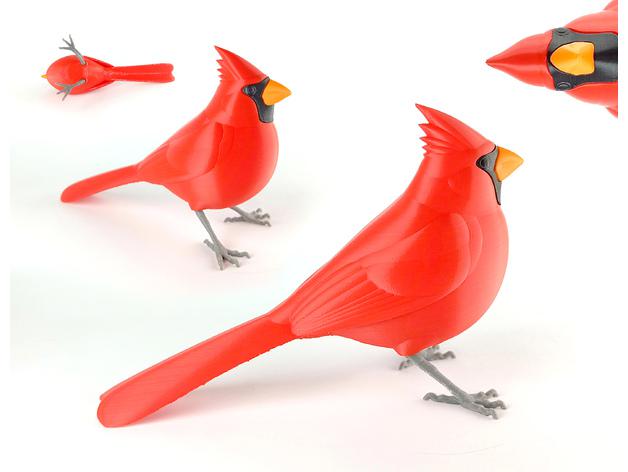 红衣凤头鸟3D打印模型