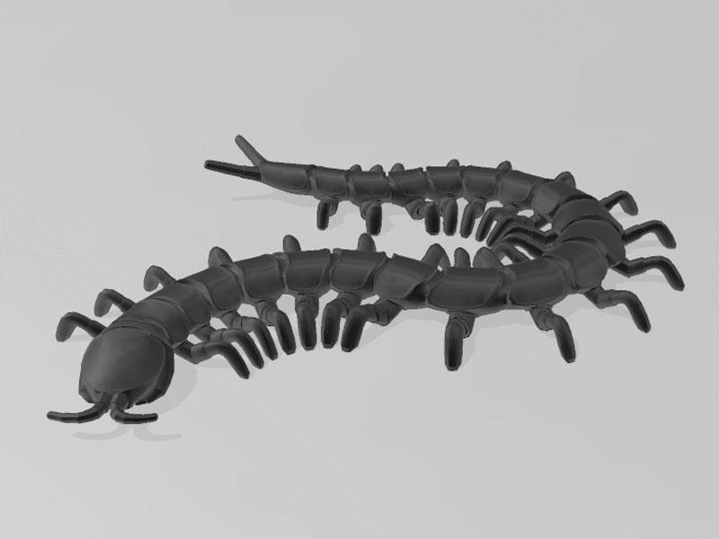 可动蜈蚣3D打印模型