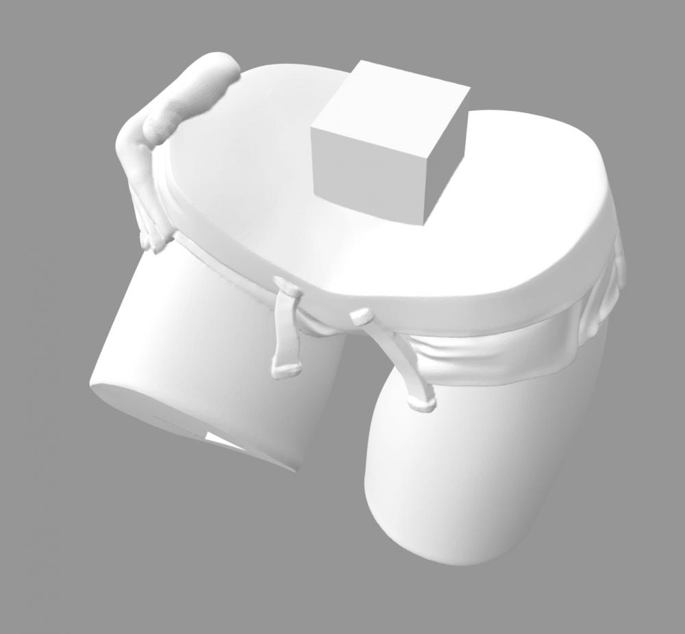 Projekt Melody虚拟主播3D打印模型