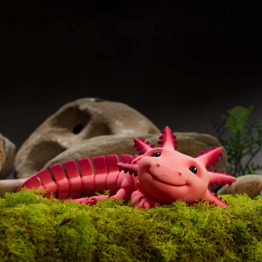 蝾螈火蜥蜴 可动3D打印模型