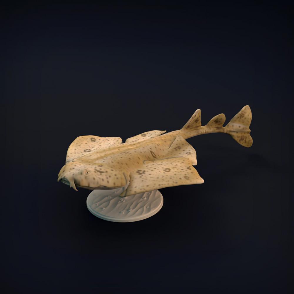 天使鲨3D打印模型