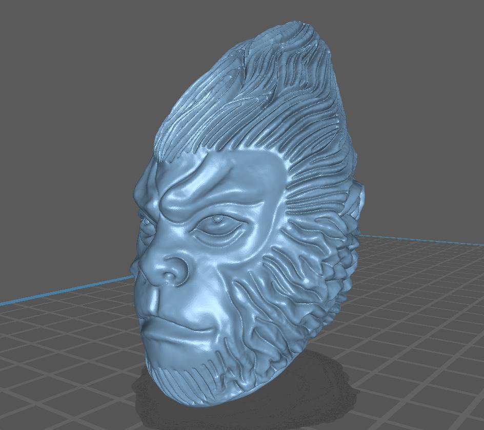 齐天大圣头雕3D打印模型