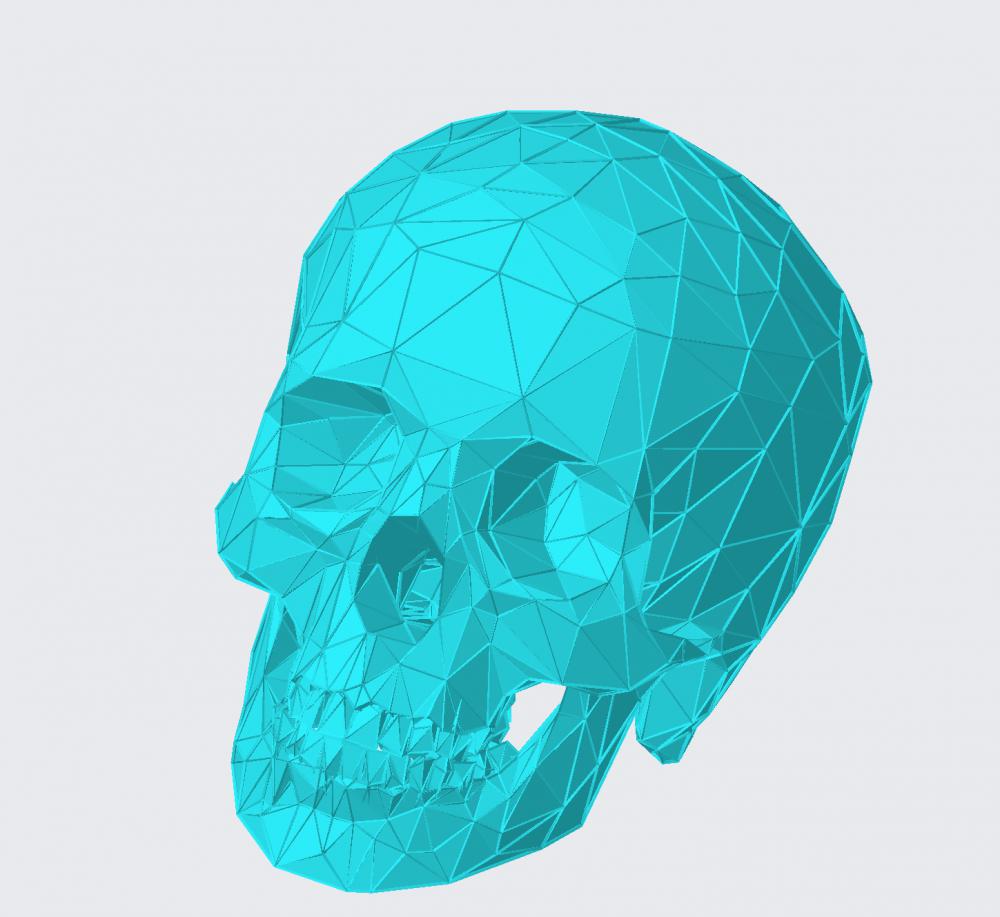 头骨3D打印模型
