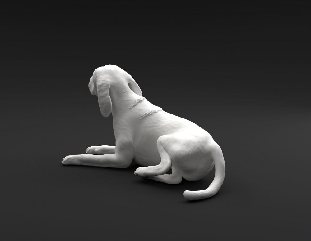 躺着的比格犬3D打印模型