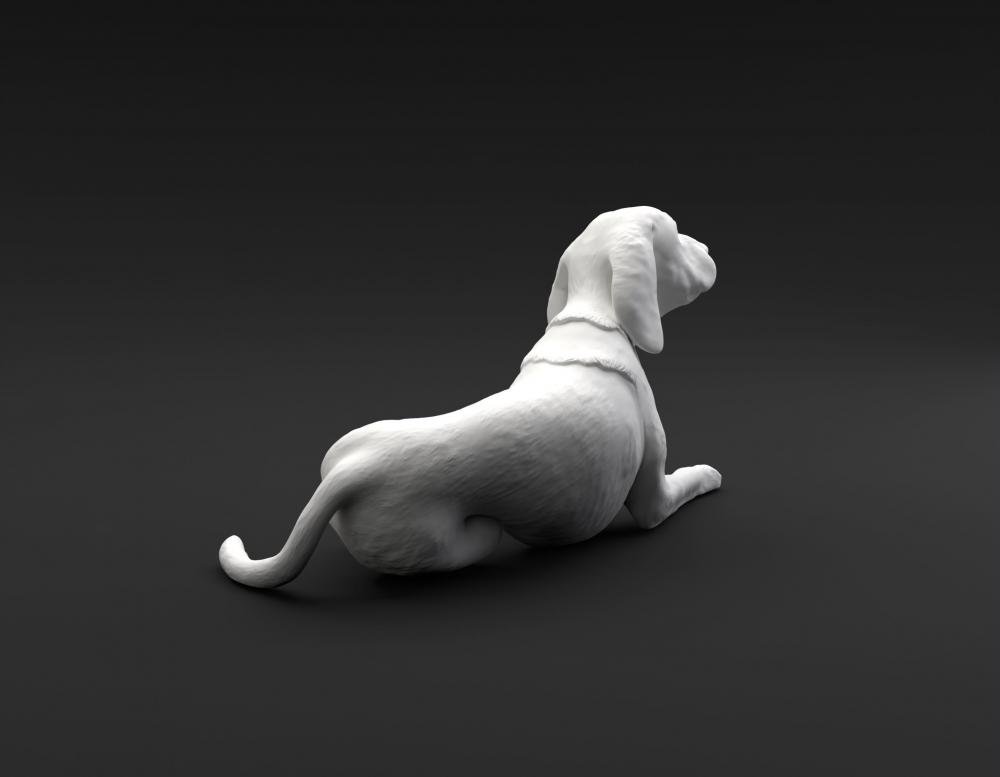 躺着的比格犬3D打印模型