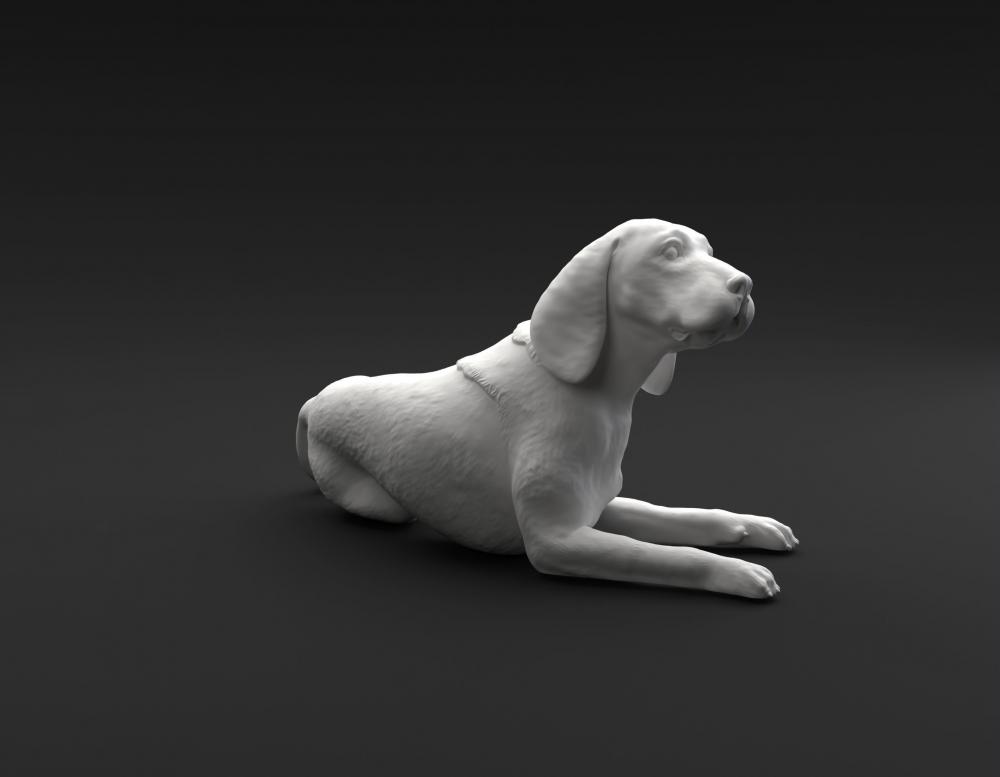 躺着的比格犬3D打印模型