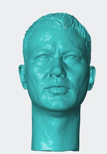 任达华头雕3D打印模型