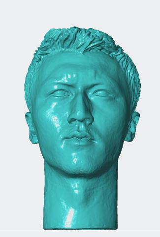谢霆锋头雕3D打印模型