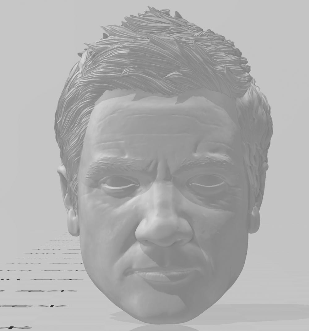 鹰眼头雕3D打印模型