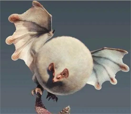 怪物猎人 浮空龙3D打印模型