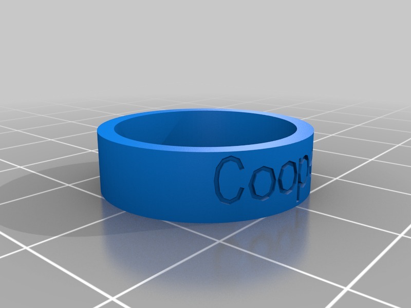 cooper3D打印模型